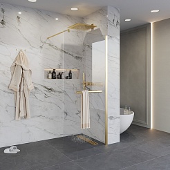 Niagara Душевая перегородка Nova 120 NG-641-12GOLD – фотография-2